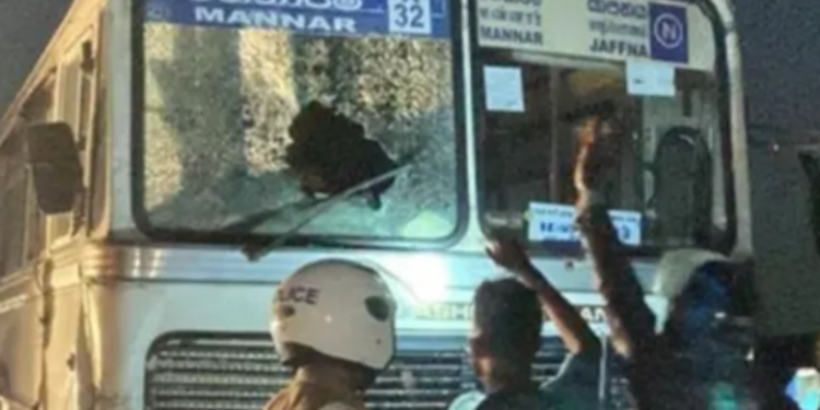 வாயில்லா மாடுகளை மோதித்தள்ளிய பேருந்து !