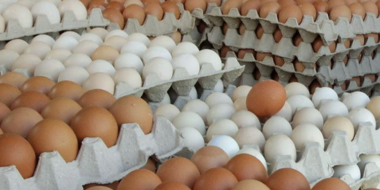 முட்டை விநியோகம் தொடர்பில் வெளியாகியுள்ள செய்தி!