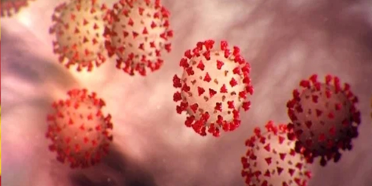 கொரொனோ தொற்று குறித்து பொது மக்களுக்கு விடுக்கப்பட்டுள்ள எச்சரிக்கை!