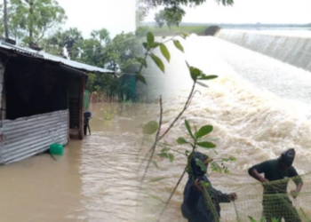 கிளிநொச்சியில் நிலவும் சீரற்ற காலநிலையால் மக்கள் பலரும் பாதிப்பு!