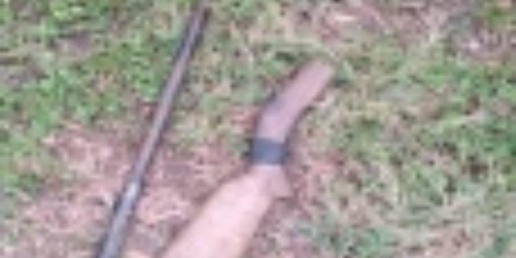 கட்டுத்துவக்கு வெடித்ததில் முதியவர் படுகாயம்!