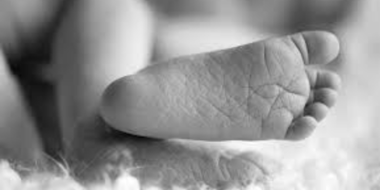 ஆற்றில் இருந்து சிசு ஒன்றின் சடலம் மீட்பு!