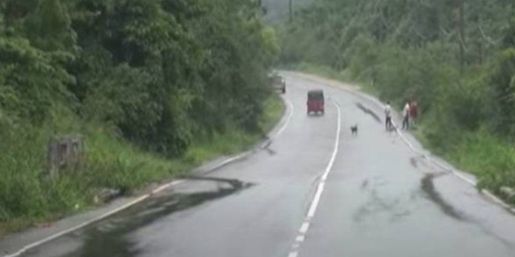 நாட்டில் முதன் முறையாக  ஒளியியல்  மாயையுடன் வீதி கண்டுபிடிப்பு!