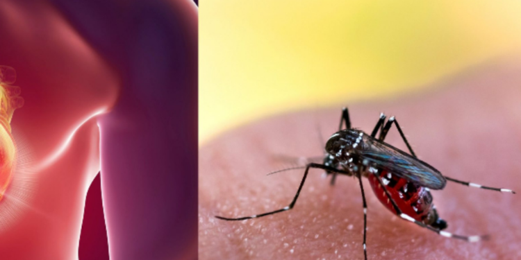 சாவகச்சேரியில் 24 குடும்பங்களுக்கு சிவப்பு எச்சரிக்கை!