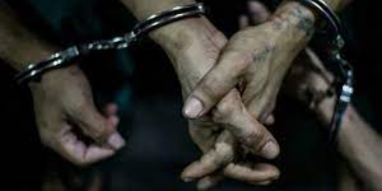 யாழ் திருநெல்வேலியில் மோசமான செயலில் ஈடுபட்ட நால்வர் கைது!