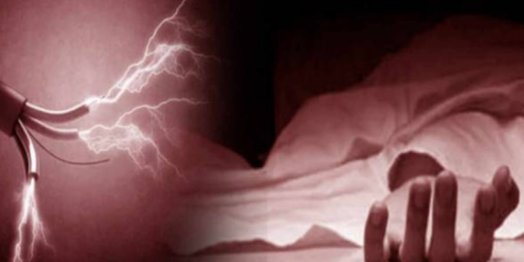 இளநீர் பறிக்க முயன்ற மாணவன் பரிதாப மரணம்!