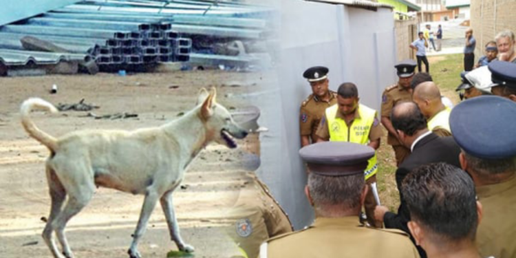 நாயை காப்பாற்றும் முயற்ச்சியில் நபர் ஒருவர் பரிதாப மரணம்!