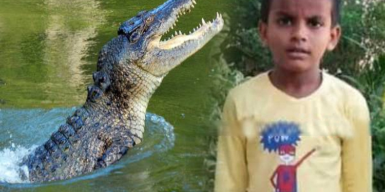 முதலை இழுத்துச் சென்ற சிறுவனின் உடல் மீட்பு!