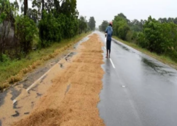 பாதிக்கப்பட்டுள்ள கிளிநொச்சி விவசாயிகள்!