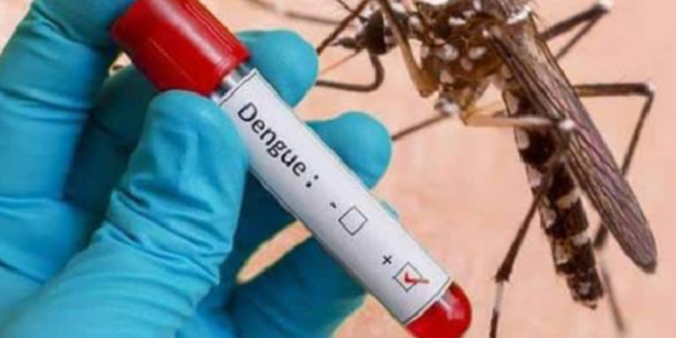 யாழில் அதிகளாவான டெங்கு நோயாளர்கள் பதிவு!
