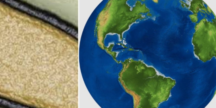 உலக அளவில் பரவப் போகும் ஜாம்பி வைரஸ்