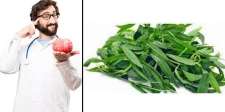 பொன்னாங்காணி கீரையில் இவ்வளவு நன்மைகள் உள்ளனவா?