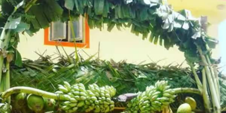 சுப காரியங்களில் வாழைமரம் கட்டுவது ஏன் தெரியுமா?