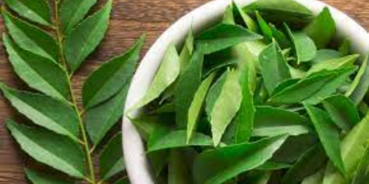 கறிவேப்பிலையில் அடங்கியுள்ள நன்மைகள்