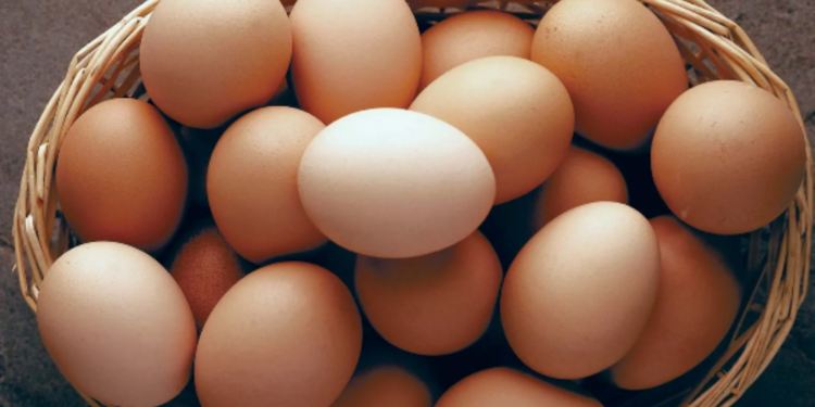 இந்தியாவில் இருந்து கோடிக் கணக்கிலான முட்டைகள் இறக்குமதி!