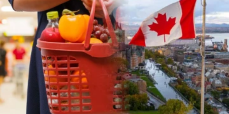 கனேடிய மக்கள் தொடர்பான ஆய்வில் வெளியான அதிர்ச்சி தகவல்!