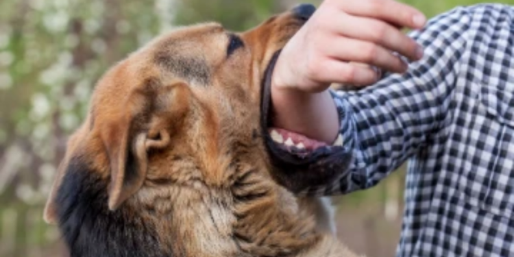 நாய் கடிக்கு இலக்கான இளைஞன் உயிரிழப்பு!