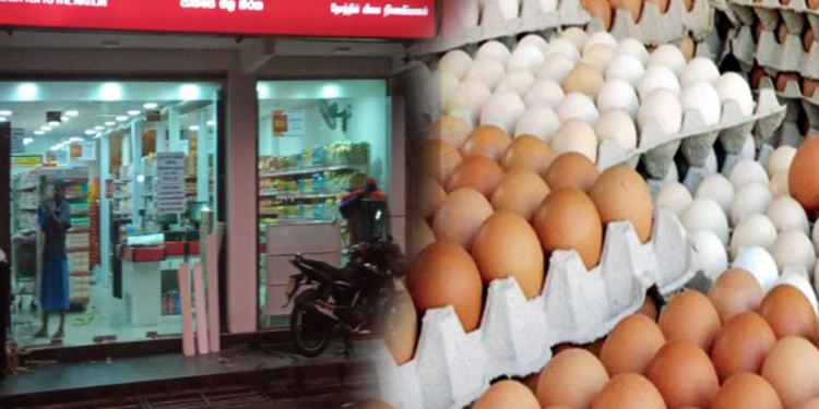 நாட்டிற்கு இந்தியாவிலிருந்து இறக்குமதி செய்யப்பட்ட முட்டைகள்