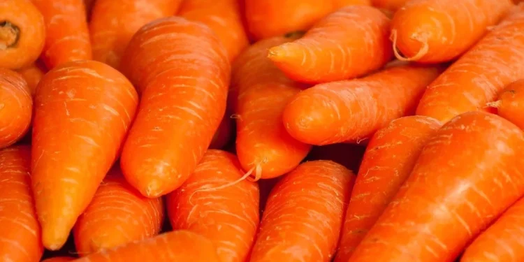 கரட் விலையில் வீழ்ச்சி!