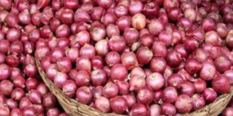 வெங்காய விலை குறைவடையும் சாத்தியம்