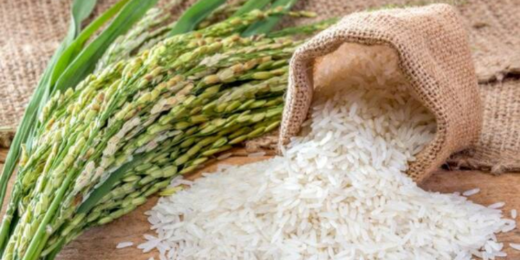 நாட்டில் அரிசி தட்டுப்பாடு ஏற்ப்படலாம்!