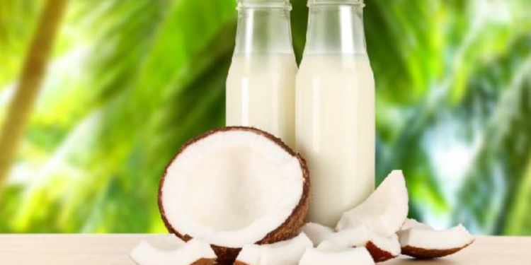 தேங்காய் பால் ஏற்றுமதி வருமானம் அதிகரிக்கும்