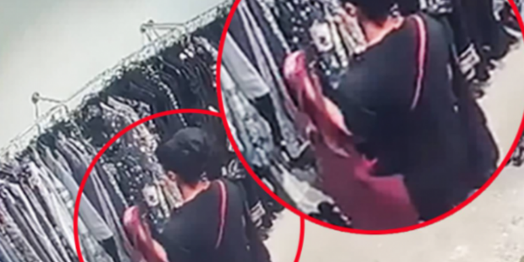 திருடில் ஈடுபட்ட நியூஸிலாந்து முன்னாள் எம்.பி!