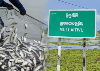 முல்லைத்தீவில் நெக்டா நிறுவனம் ஊழியர் மீது தாக்குதல்!