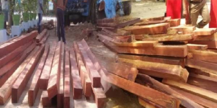 யாழில் மண்ணில் புதைத்து வைத்த பாலைக்குற்றிகள் மீட்பு!