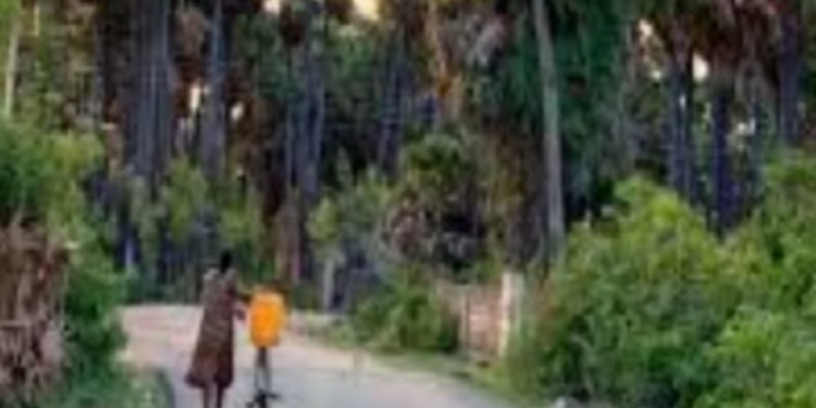 யாழில் மோசமான செயலில் ஈடுபட்ட பெண்!