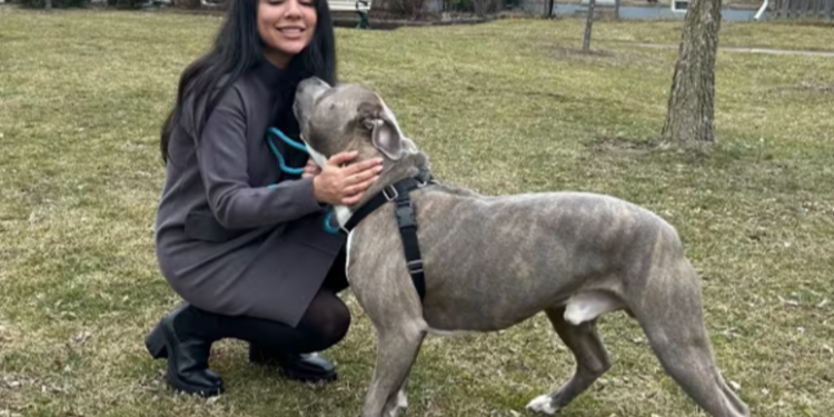 செல்லப் பிராணிக்காக நீதிமன்றம் சென்ற கனேடிய பெண்!