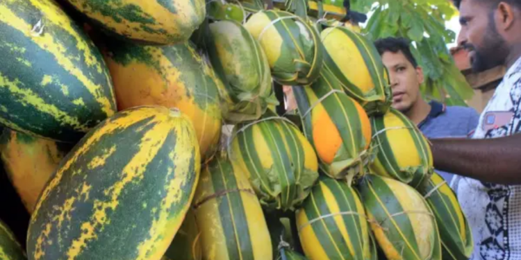 திடீரென சூடு பிடித்த வெள்ளரிப்பழ விலை!