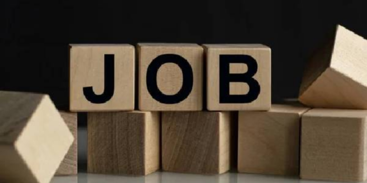 இலங்கையில் வேலைவாய்ப்பு வீதம் அதிகரிப்பு!