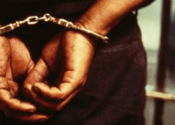 பளையில் கேரள கஞ்சாவுடன் இளைஞர் ஒருவர் கைது!