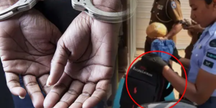 யாழில் விமானப்படை கண்காட்சியை பார்வையிட சென்ற பெண் கைது!