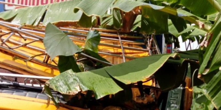 யாழில் கோர விபத்து மது போதையால் நிகழ்ந்த விபரீதம்!