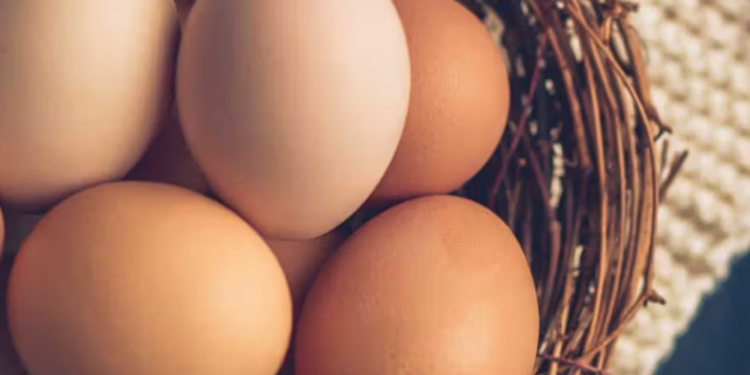 இன்று முதல் சதொசவில் குறைந்த விலையில் முட்டை!