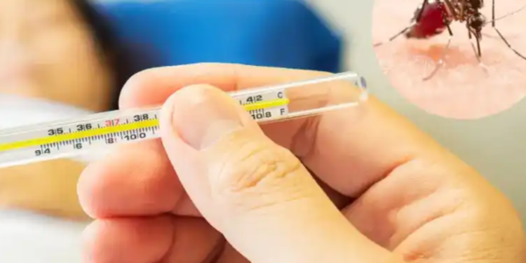 பிரேசிலில் தீவிரம் அடையும் டெங்கு!