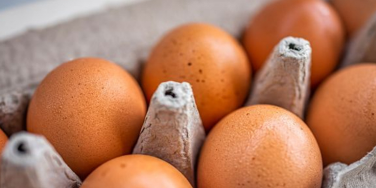 நாட்டில் முட்டை  வரையறுக்கப்பட்ட  இறக்குமதி!