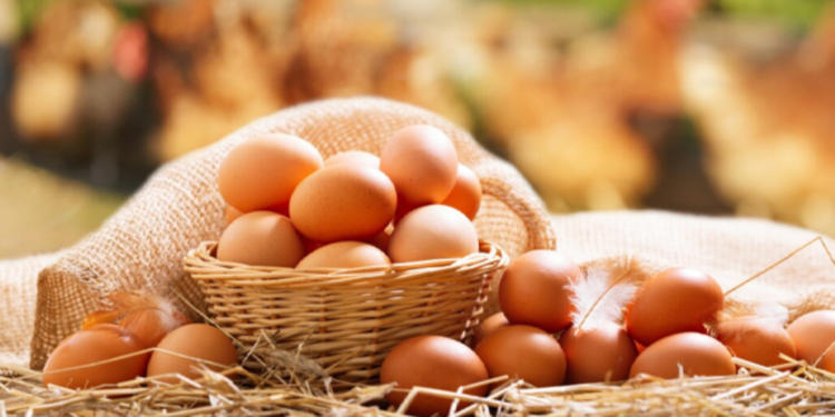 இன்று முதல் குறைக்கப்படும் முட்டை விலை!