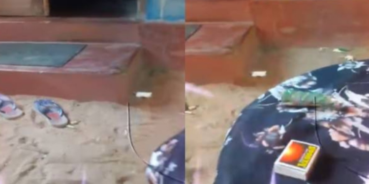 மட்டக்களப்பு ஆயர் இல்லத்திற்குள் மதிய நேரம் செல்லும் அந்தப் பெண் யார்? வெளியான வீடியோவால் பரபரப்பு!