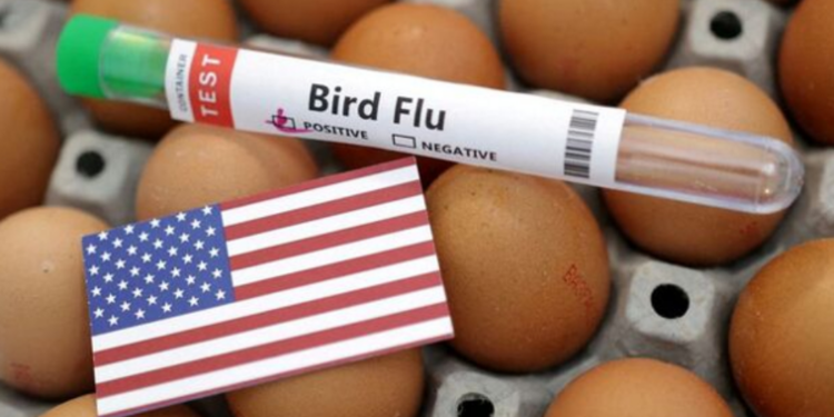 உலகை அச்சுறுத்தபோகும் மற்றுமோர் வைரஸ் தொடர்பில் எச்சரிக்கை!