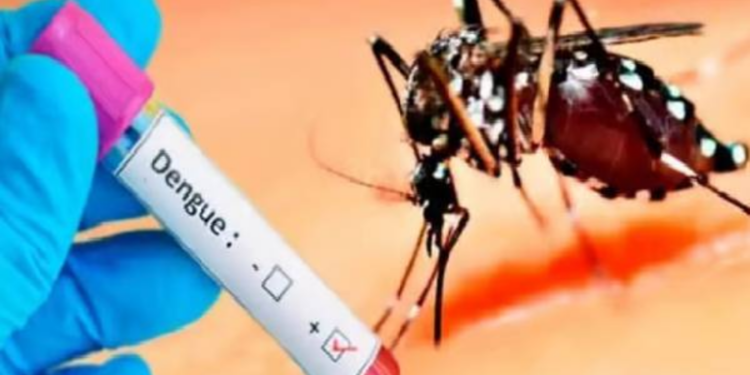 நாட்டில் மீண்டும் டெங்கு நோயாளர்களின் எண்ணிக்கை அதிகரிப்பு!
