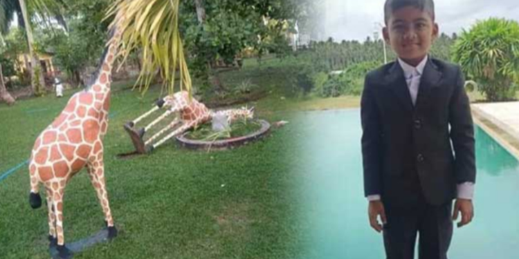 ஒட்டகச் சிவிங்கியால் பறிபோன சிறுவனின் உயிர்!