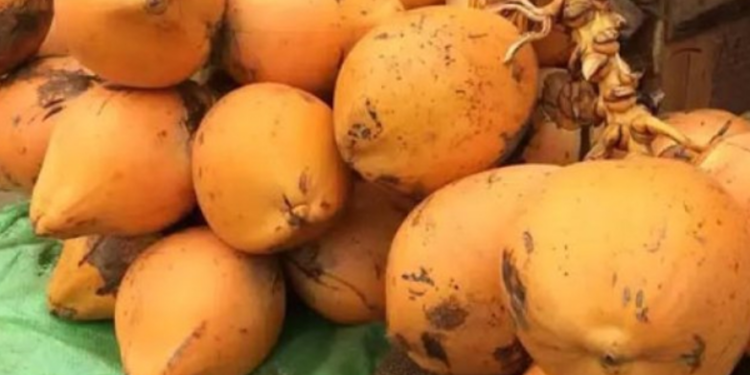 இளநீர் விலை சடுதியாக அதிகரிப்பு!