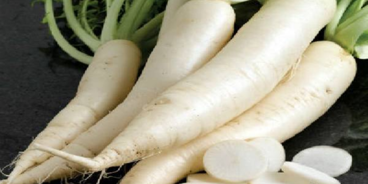 கோடைகால நீர் இழப்பை தடுக்கும் முள்ளங்கி!