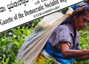 தோட்டத் தொழிலாளர்களின் சம்பள உயர்வுக்கு முதலாளிமார் எதிர்ப்பு!