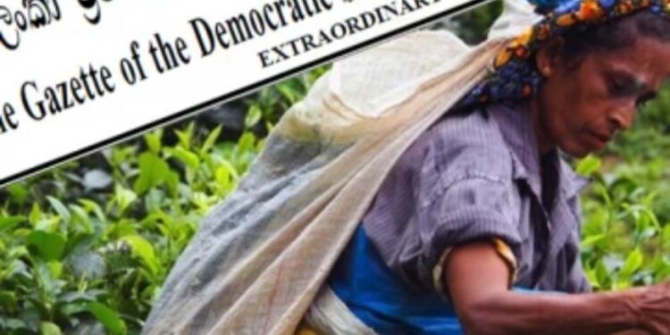 தோட்டத் தொழிலாளர்களின் சம்பள உயர்வுக்கு முதலாளிமார் எதிர்ப்பு!