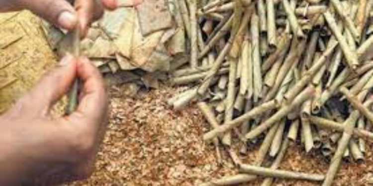 சட்டவிரோதமாக இலங்கைக்கு கொண்டுவரப்பட்ட பீடி இலைகள் மீட்பு!