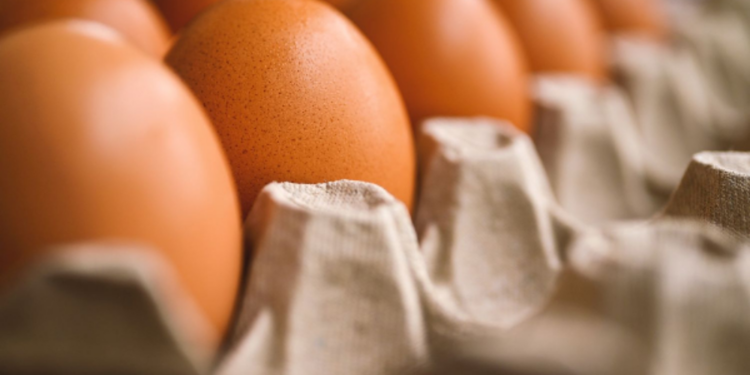 முட்டை இறக்குமதிக்கு மீண்டும் அனுமதி!